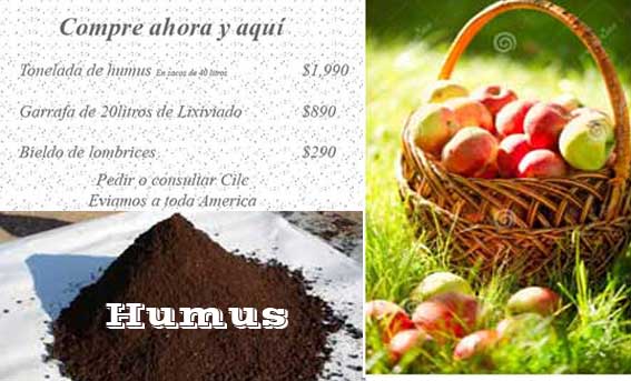 hunus, culvivo con humus, cultivo ecologico, humus de lombriz