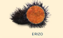 erizo en conserva,erizo
