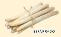 esparrago,esparrago en conserva