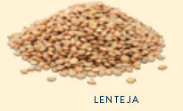 lentejas,lentejas en conserva