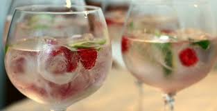 Arándano Gin recetar,Arándano Gin coctel,Arándano receta Gin