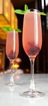 Hibiskus Bubbles cocteleando, Hibiskus Bubbles beben, Hibiskus Bubbles receta