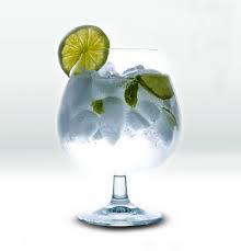 coctel Gin tonic,bebida Gin tonic,preparar Gin tonic