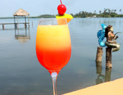 Paraíso coctel receta,Paraíso coctel praprar,Paraíso coctel elaborar