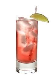 coctel Vodka Greyhound,bebida Vodka Greyhound,receta Vodka Greyhound