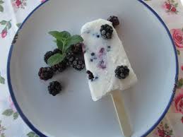 Paletas Mora receta, Paletas Mora recetario, Paletas Mora elaboracion