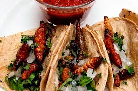 gusanos de maguey, gusanos maguey receta, gusanos maguey preparacion