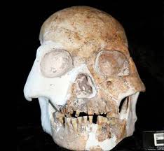 Descubren especie humana Asia, estatus taxonómico desconocido, Los dientes de Xujiayao