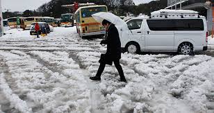 nevada en japon mata, nevada en japon deja muertos, nevada japon deja 10 muertos