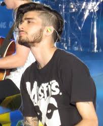 zayn se retira gira, integrante retirado one direction, zayn abandona one direction