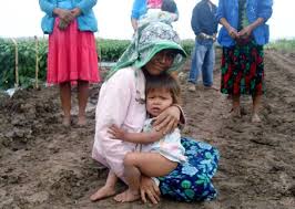 rescatan a mixtecos, rescatan a mixtecos colima, rescatan a indigenas mixtecos