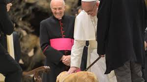 vaticano difundira encíclica ambiental, vaticano hace encíclica ambiental, vaticano prepara encíclica ambiental
