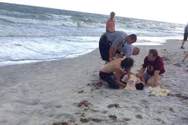 tiburon ataco en carolina, ataca tiburon carolina, ataca tiburon en carolina